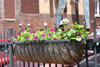 Ironton in Bloom: Planter 1