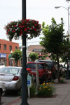 Ironton in Bloom: Ironton Is Blooming!