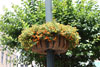Ironton in Bloom: Planter 3